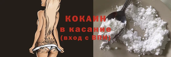 ешки Аркадак