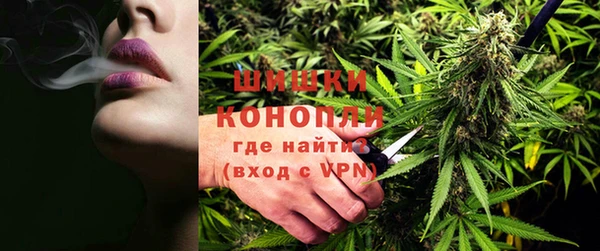 ешки Аркадак